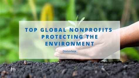 Top 23 Global Nonprofits Protecting the Environment .